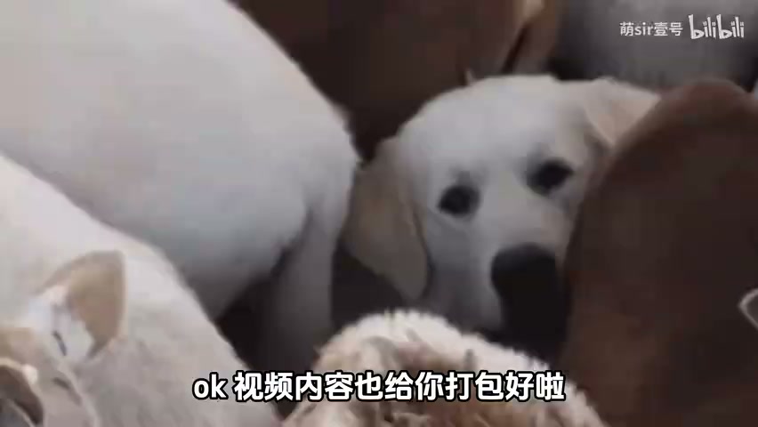 Windows 已激活
